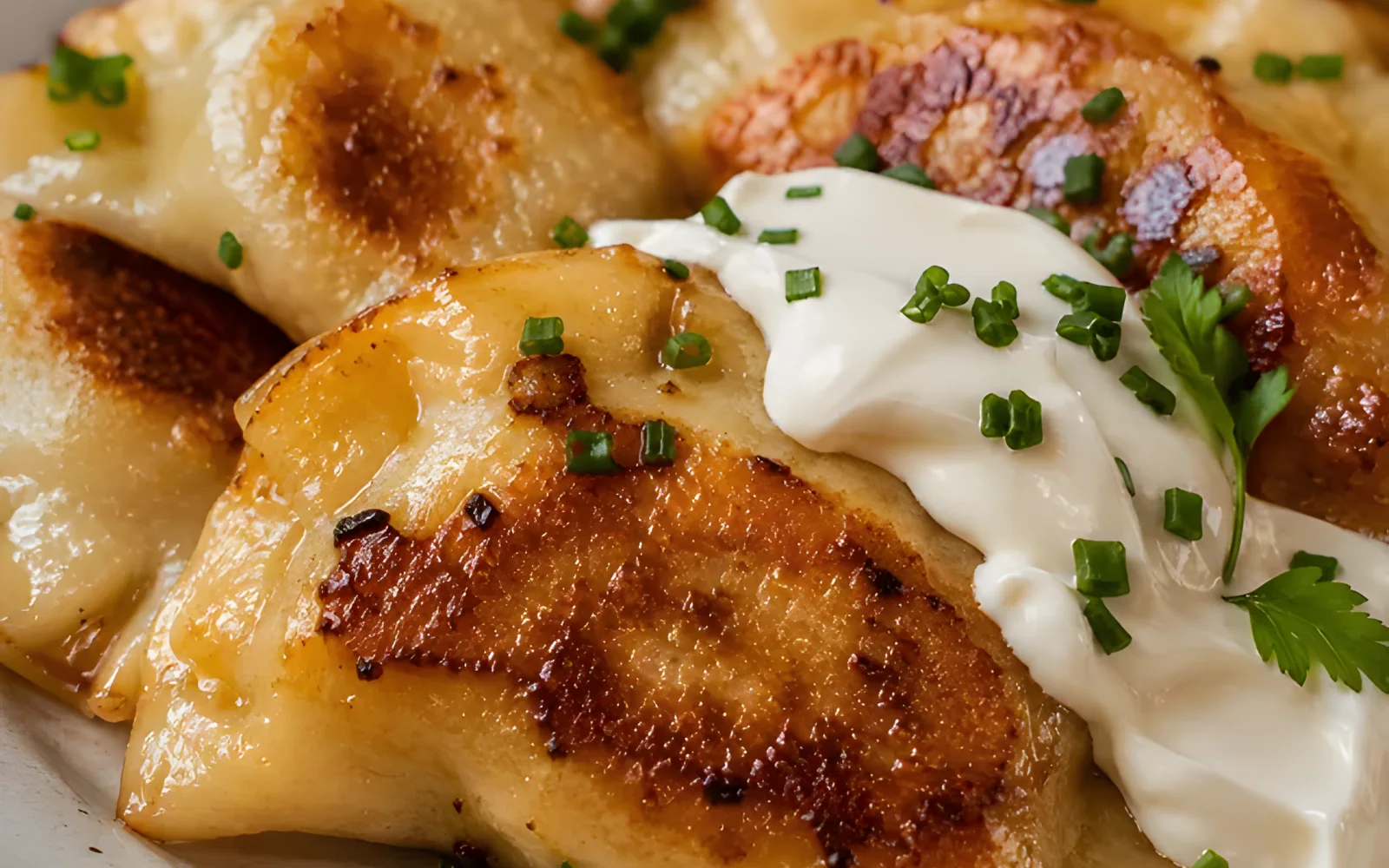 Pierogarnia Krakowiacy Krakow | Polish Pierogi