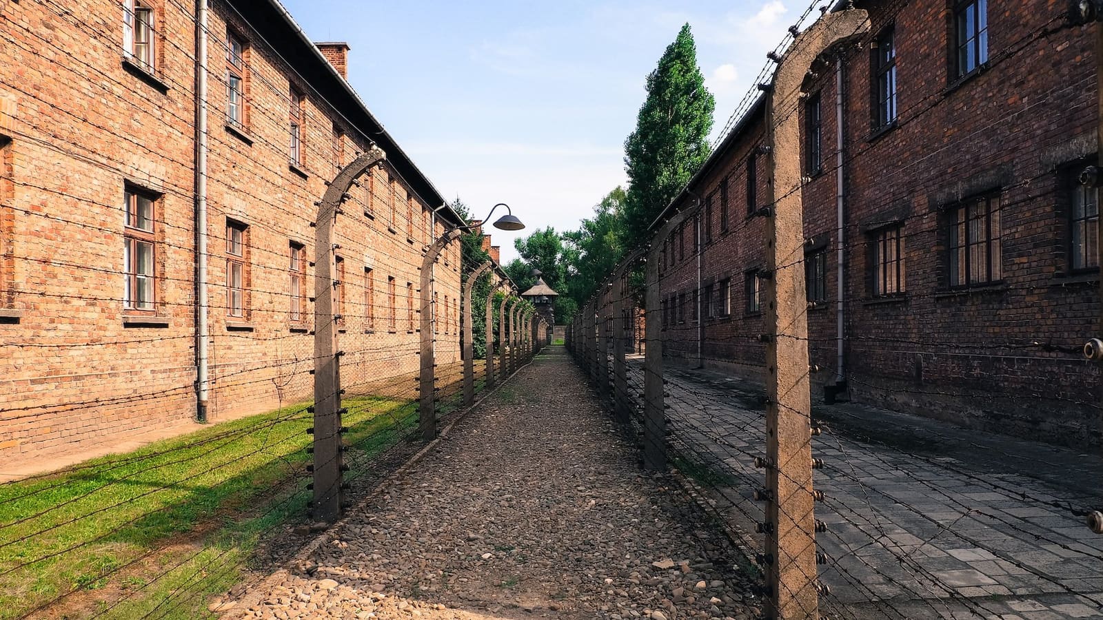 The railway tracks leading into Auschwitz II-Birkenau