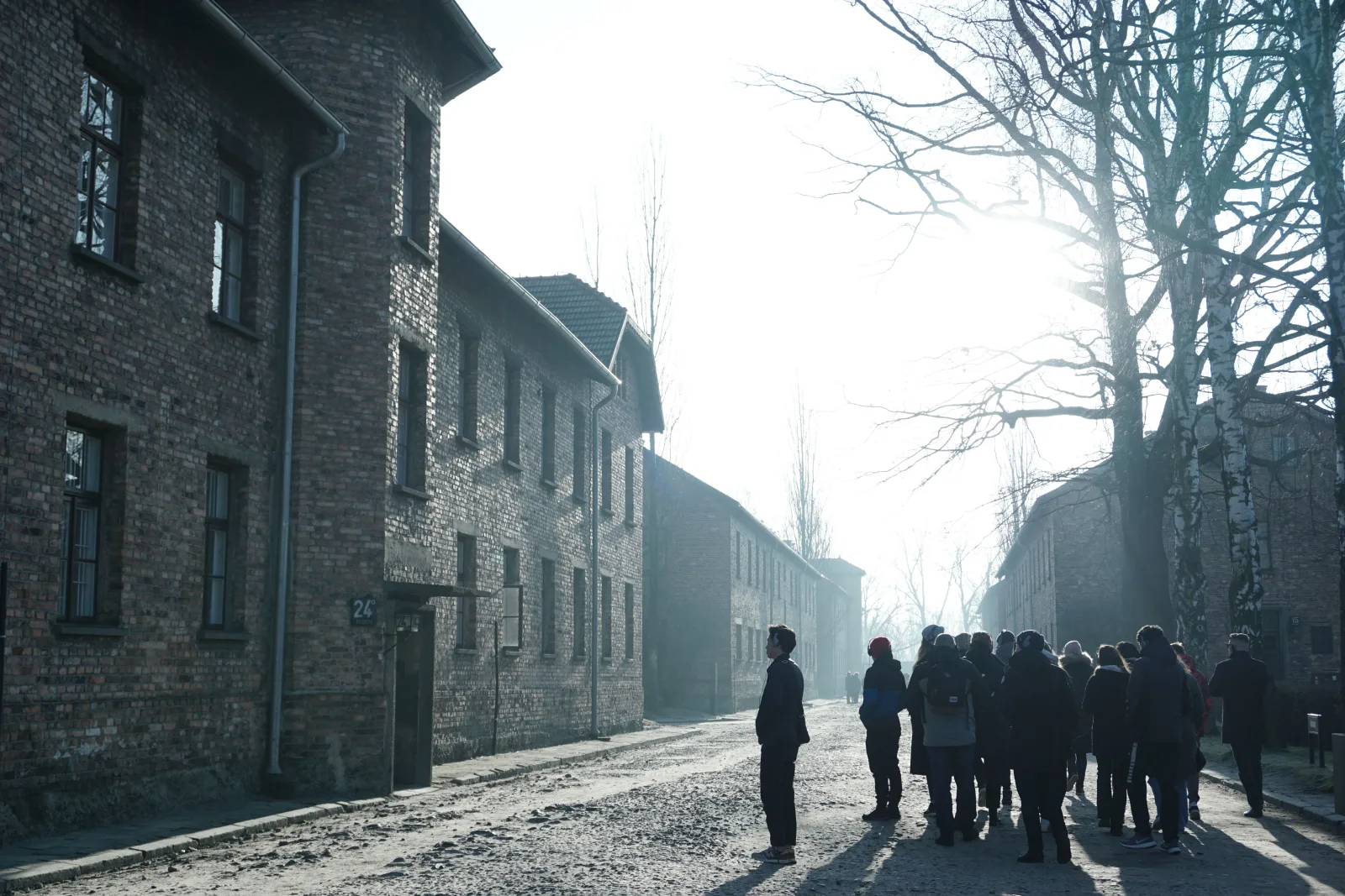 Auschwitz & Wieliczka: One-Day Tour from Kraków?