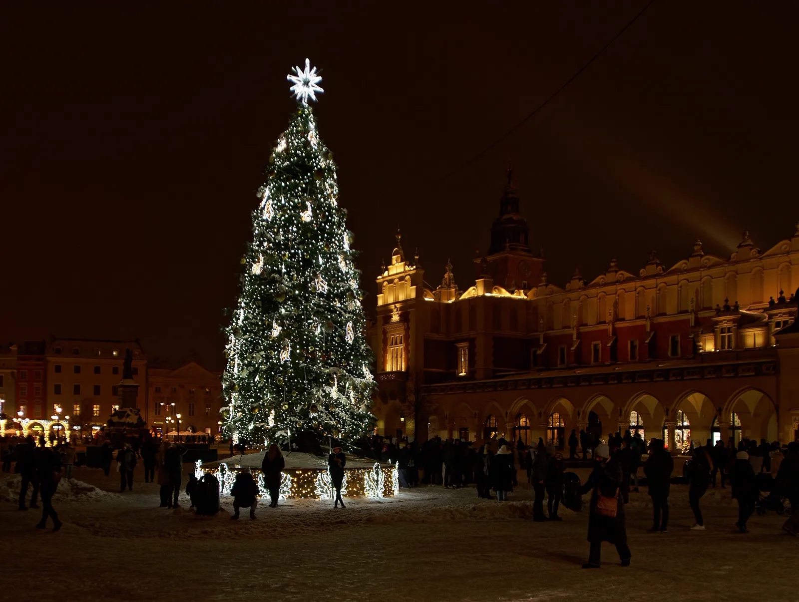 Lit Christmas tree with a star on top next to the illuminated Cloth Hall at night