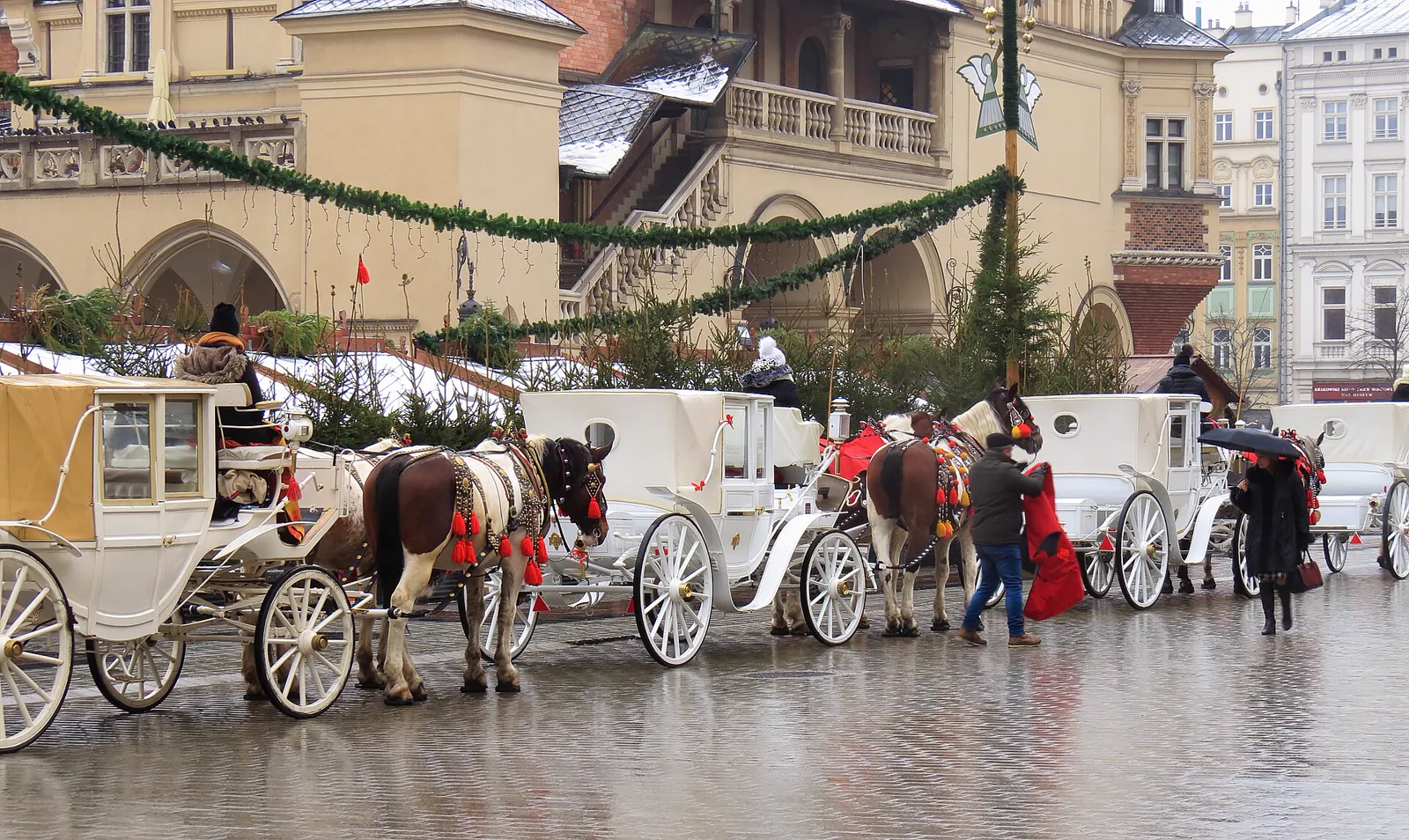 White horse-drawn carriages lined up in front of the Cloth Hall on a wet winter day