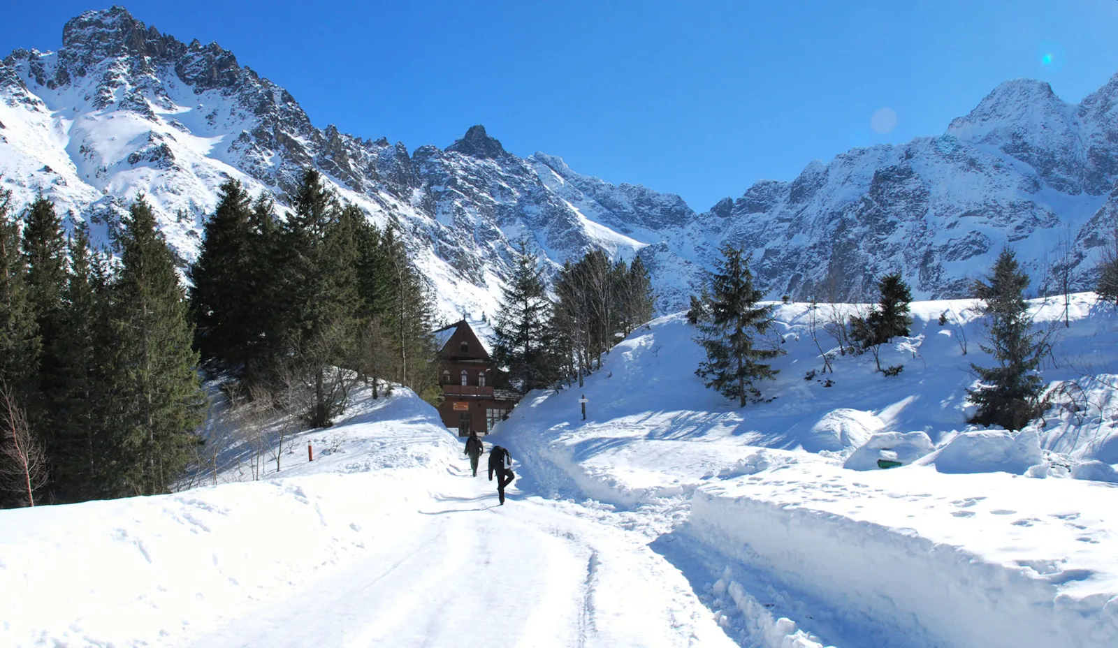 Two walkers on a snow-covered road between spruces, with snowy Tatra peaks ahead