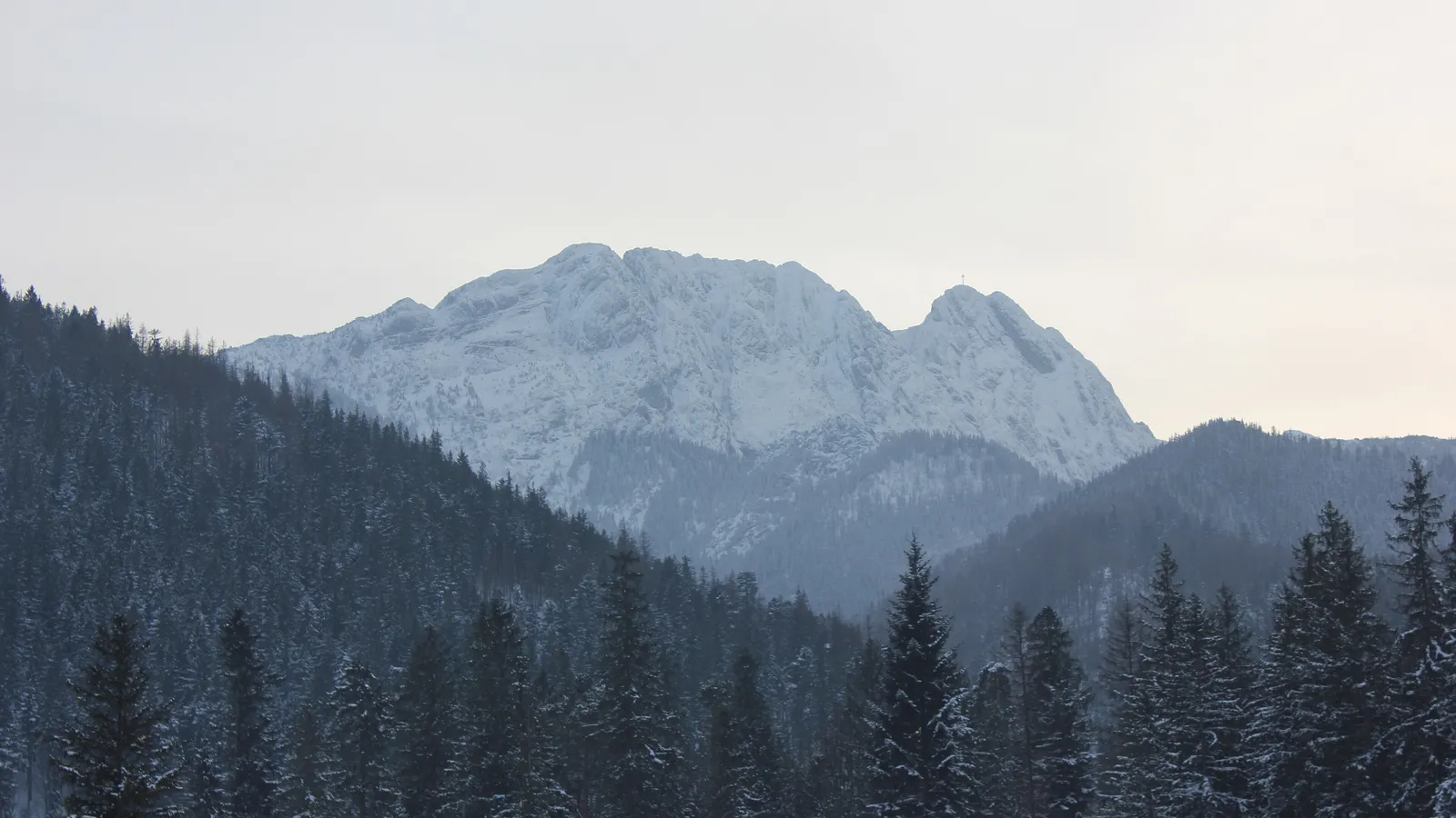 Snow-covered Giewont rising above dark spruce forest near Zakopane