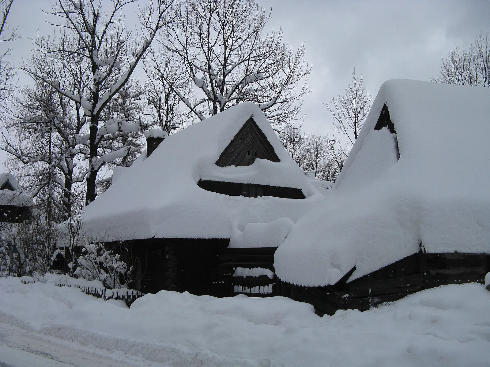 Wooden houses on Kościeliska Street under deep snow, with bare trees